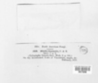 Image Associated With the Occurence